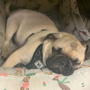 Meet your Posher, Isabel